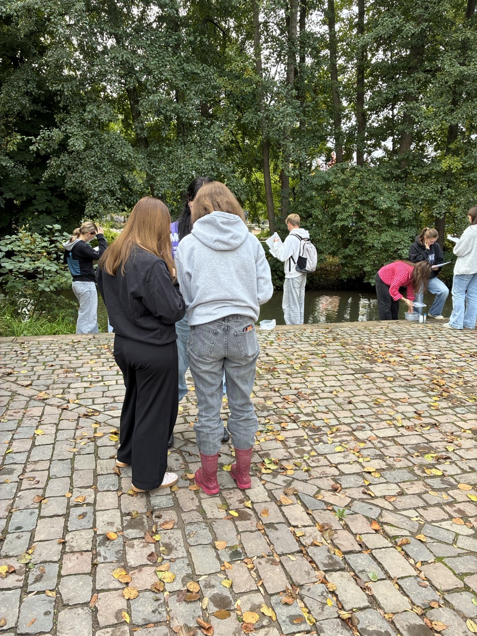 Bild1.jpeg