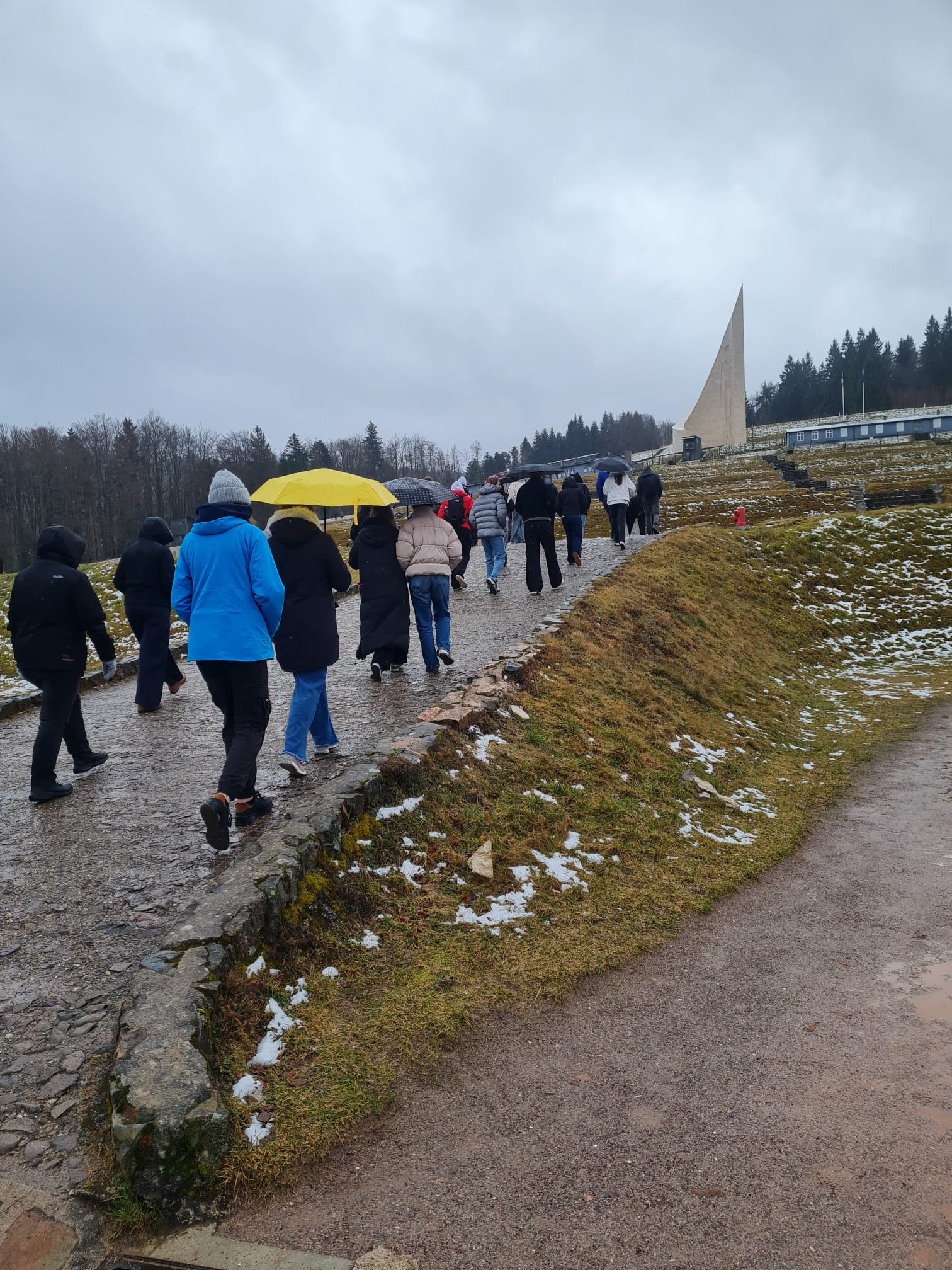 WhatsApp Image 2026 02 23 at 14.48.12.3